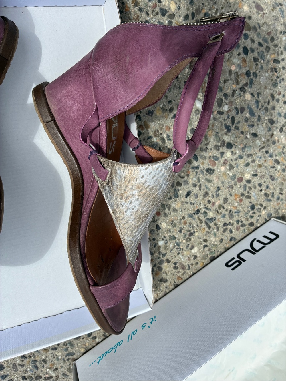 MJUS - Plum Leather Sandals with Snake-Print T Panel - Picture 3 of 7